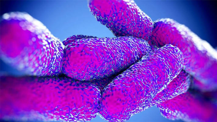 Image related to Some Interesting Facts about Legionella